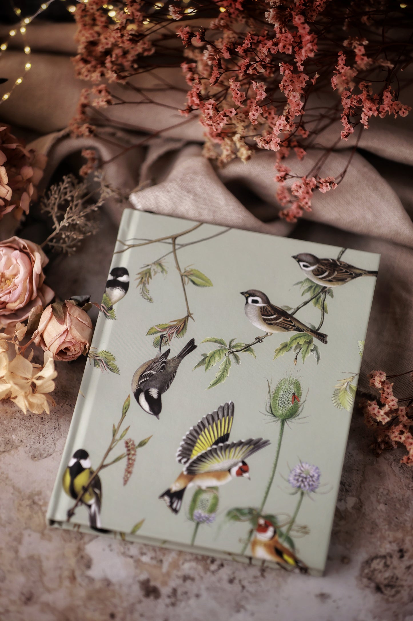 Carnet Oiseaux