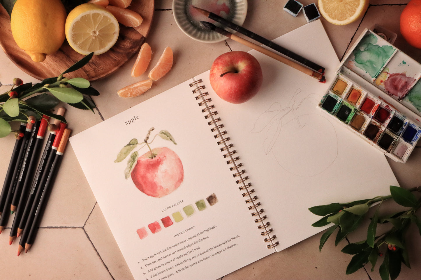 Cahier d'aquarelle "Les Fruits"