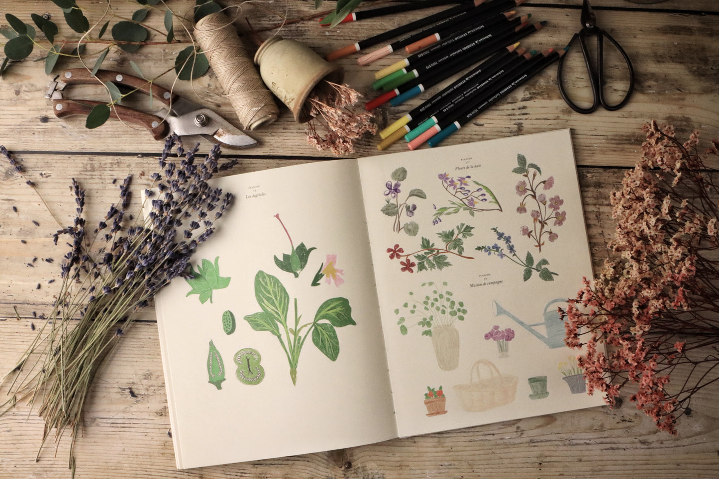 Cahier de coloriage & de stickers "Le Jardin"