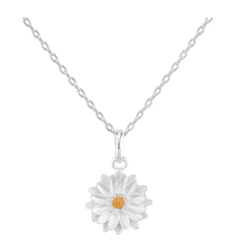 Collier Aster