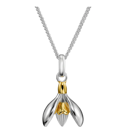 Collier Perce Neige